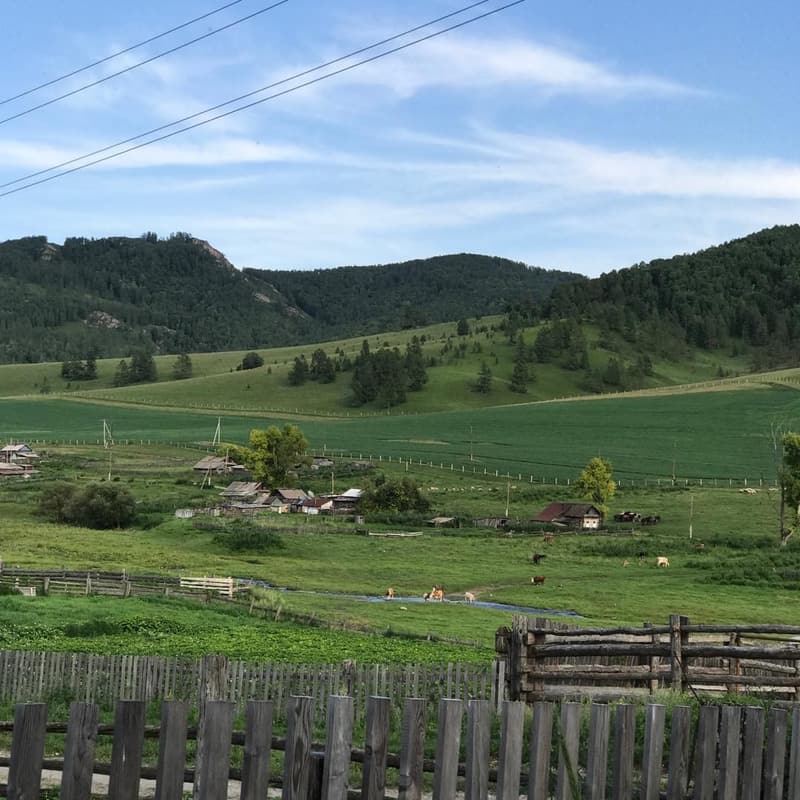 Далеко далеко на лугу пасутся ко.....